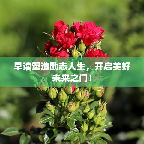 早读塑造励志人生，开启美好未来之门！