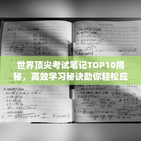 世界顶尖考试笔记TOP10揭秘，高效学习秘诀助你轻松应对考试挑战