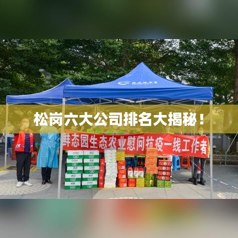 松岗六大公司排名大揭秘！