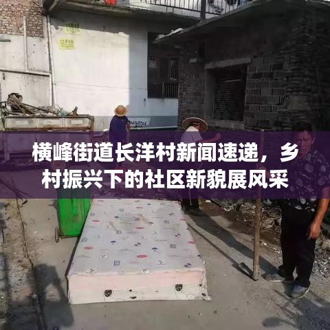 横峰街道长洋村新闻速递，乡村振兴下的社区新貌展风采