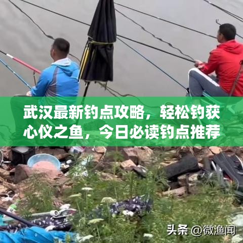 武汉最新钓点攻略，轻松钓获心仪之鱼，今日必读钓点推荐！