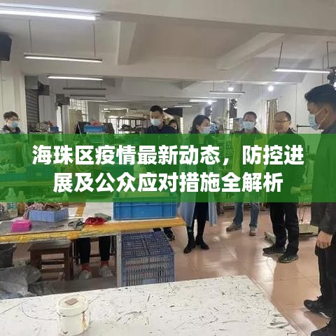 海珠区疫情最新动态，防控进展及公众应对措施全解析