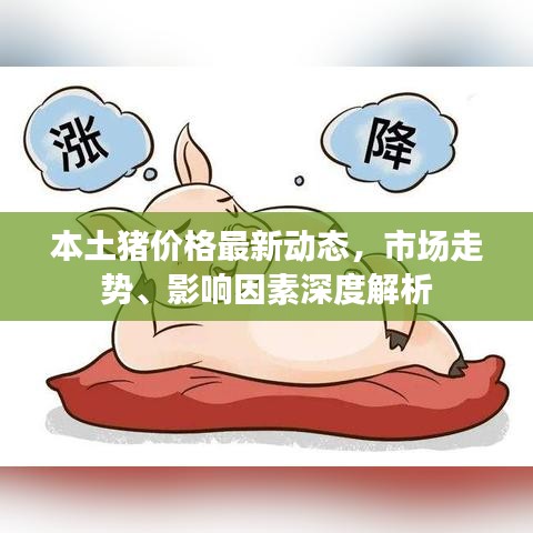 本土猪价格最新动态，市场走势、影响因素深度解析