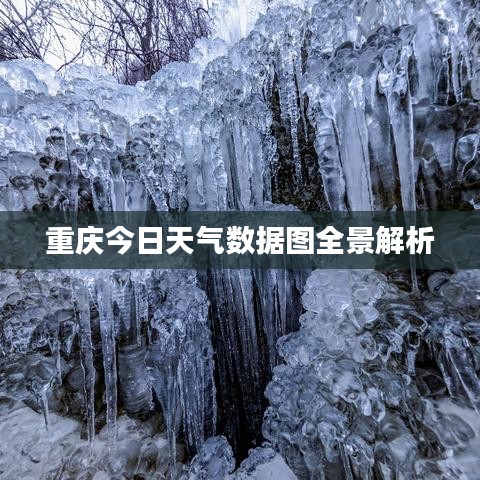 重庆今日天气数据图全景解析