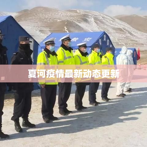 夏河疫情最新动态更新