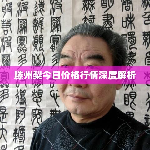 滕州梨今日价格行情深度解析