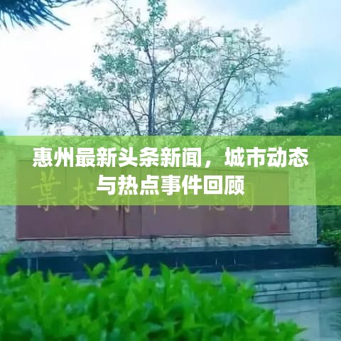 惠州最新头条新闻，城市动态与热点事件回顾