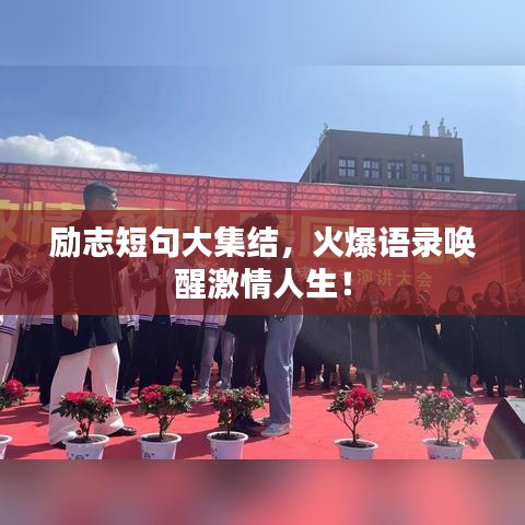 翰飞戾天 第2页