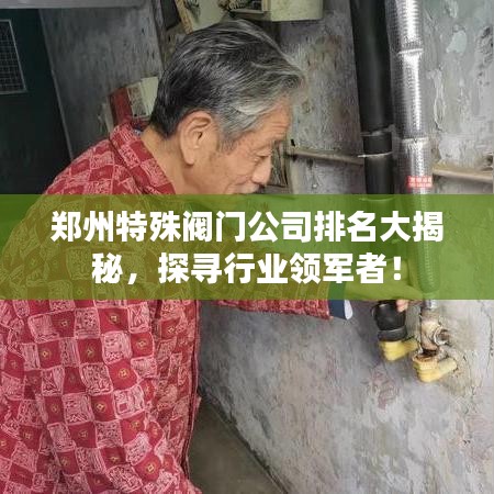 郑州特殊阀门公司排名大揭秘，探寻行业领军者！