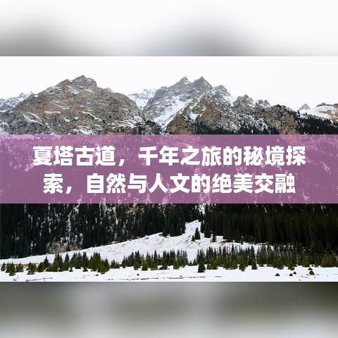 夏塔古道，千年之旅的秘境探索，自然与人文的绝美交融