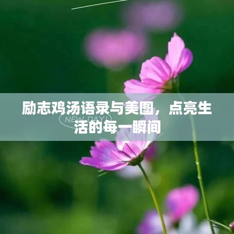 励志鸡汤语录与美图，点亮生活的每一瞬间
