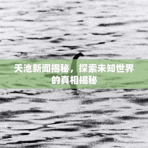 天池新闻揭秘，探索未知世界的真相揭秘