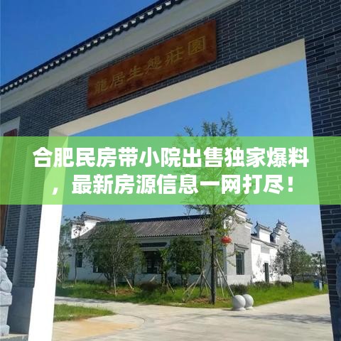 合肥民房带小院出售独家爆料，最新房源信息一网打尽！