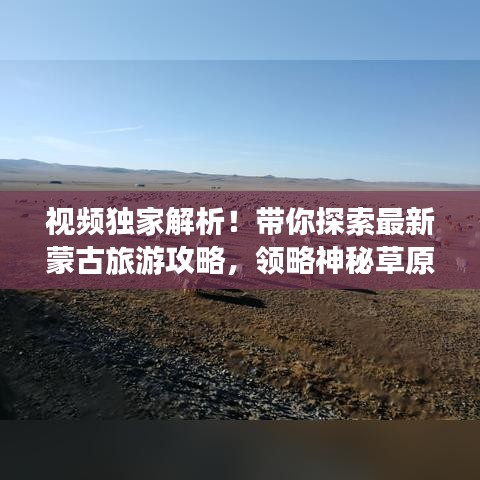 视频独家解析！带你探索最新蒙古旅游攻略，领略神秘草原风情！