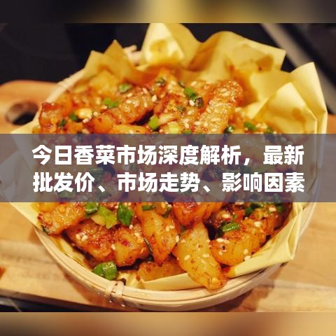 今日香菜市场深度解析，最新批发价、市场走势、影响因素与未来预测