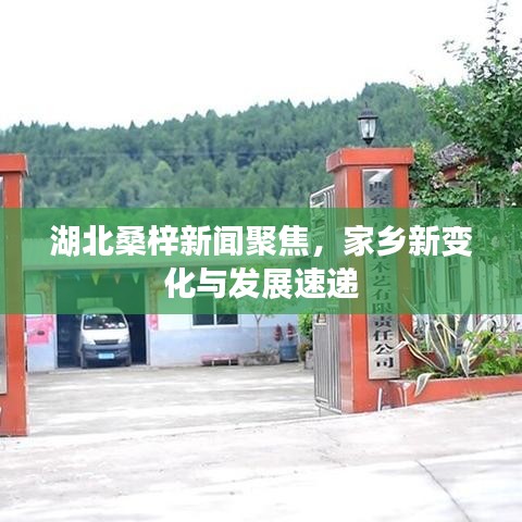 湖北桑梓新闻聚焦，家乡新变化与发展速递