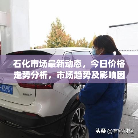石化市场最新动态，今日价格走势分析，市场趋势及影响因素探讨