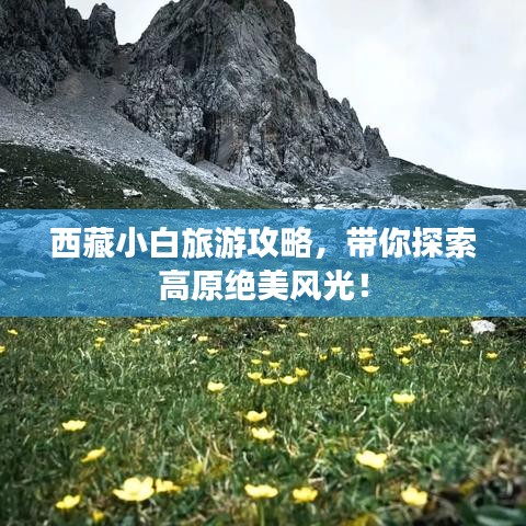 凤凰于飞 第2页