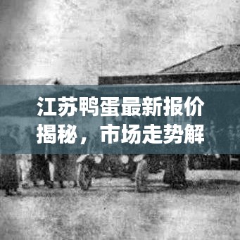 量入为出 第2页