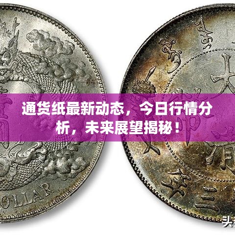 通货纸最新动态，今日行情分析，未来展望揭秘！