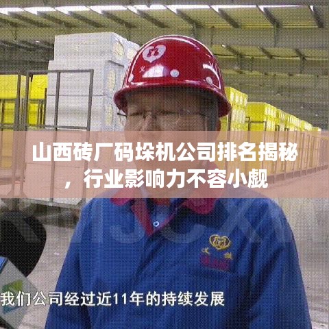 山西砖厂码垛机公司排名揭秘，行业影响力不容小觑