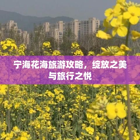 宁海花海旅游攻略，绽放之美与旅行之悦
