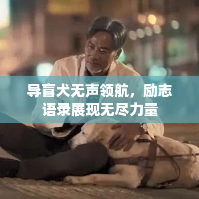 导盲犬无声领航，励志语录展现无尽力量
