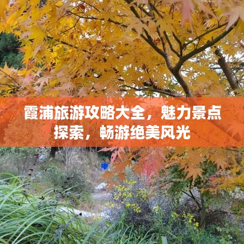 霞浦旅游攻略大全，魅力景点探索，畅游绝美风光