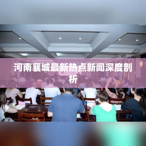 河南襄城最新热点新闻深度剖析