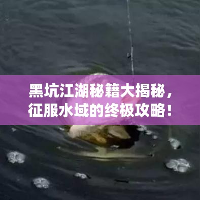 黑坑江湖秘籍大揭秘，征服水域的终极攻略！