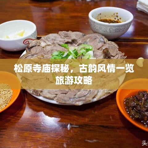 风驰电掣 第3页