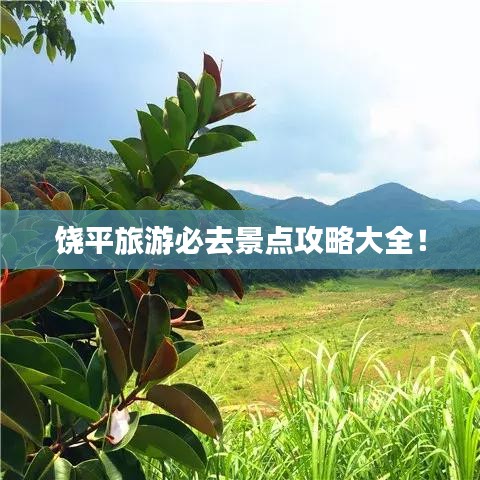 饶平旅游必去景点攻略大全！