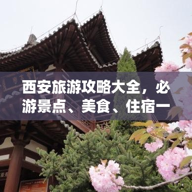 意气风发 第2页