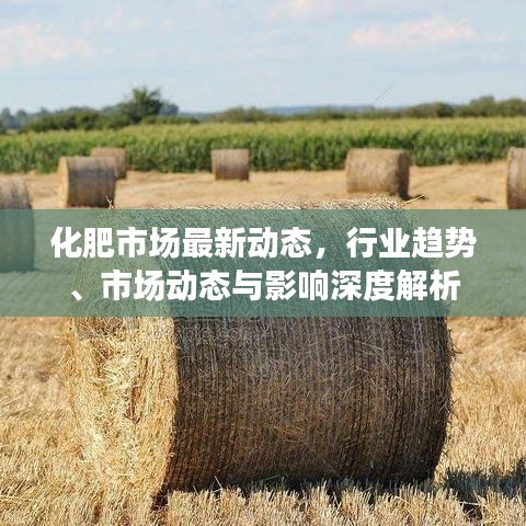 化肥市场最新动态，行业趋势、市场动态与影响深度解析