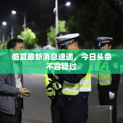 临夏最新消息速递，今日头条不容错过