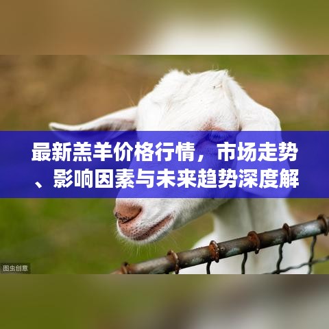 最新羔羊价格行情，市场走势、影响因素与未来趋势深度解析