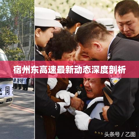 宿州东高速最新动态深度剖析