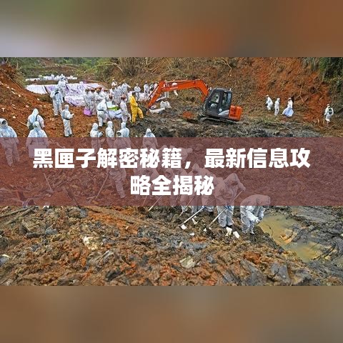 黑匣子解密秘籍，最新信息攻略全揭秘