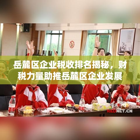 岳麓区企业税收排名揭秘，财税力量助推岳麓区企业发展