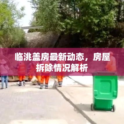 临洮盖房最新动态，房屋拆除情况解析