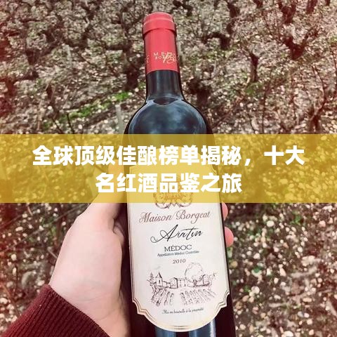 全球顶级佳酿榜单揭秘，十大名红酒品鉴之旅