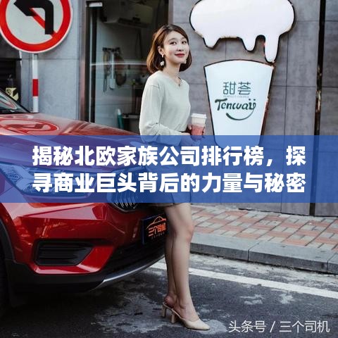 揭秘北欧家族公司排行榜，探寻商业巨头背后的力量与秘密