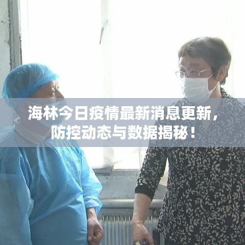 海林今日疫情最新消息更新，防控动态与数据揭秘！