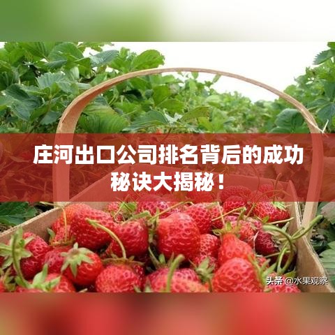 庄河出口公司排名背后的成功秘诀大揭秘！