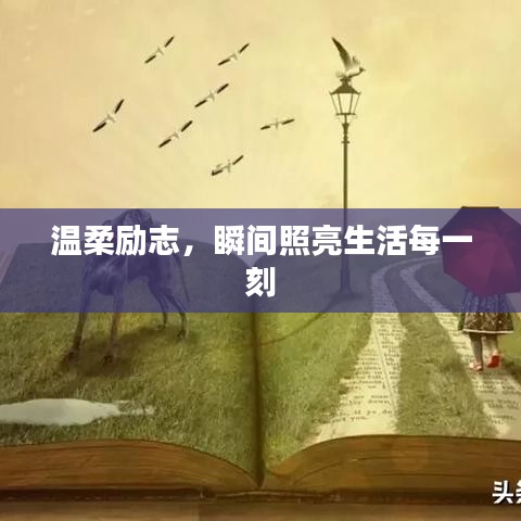 温柔励志，瞬间照亮生活每一刻