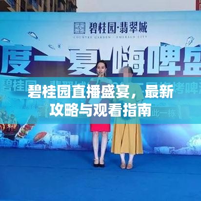 碧桂园直播盛宴，最新攻略与观看指南