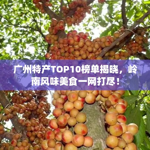 广州特产TOP10榜单揭晓，岭南风味美食一网打尽！