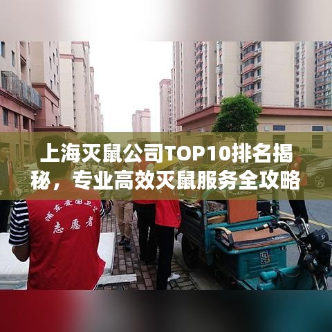 上海灭鼠公司TOP10排名揭秘，专业高效灭鼠服务全攻略