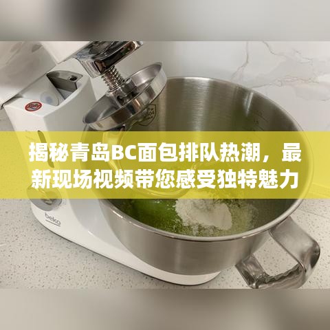 揭秘青岛BC面包排队热潮，最新现场视频带您感受独特魅力