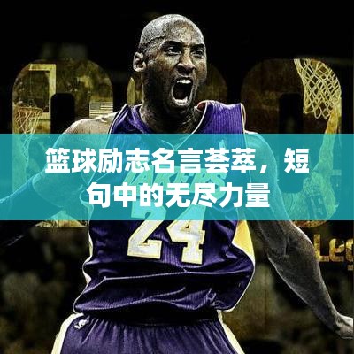 篮球励志名言荟萃，短句中的无尽力量